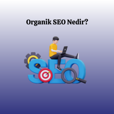 Organik SEO Nedir?
